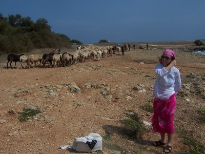 Sheep herder, Otranto, Salento